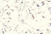 kvarts toopind delta white min